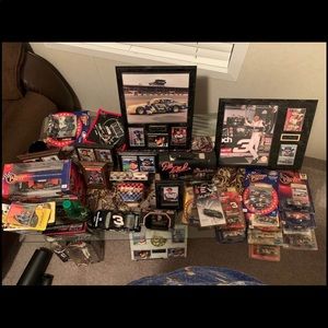 Dale Earnhardt senior